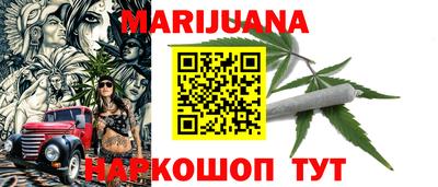 индика Лесосибирск