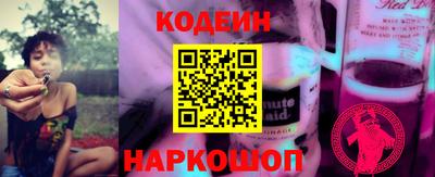 индика Лесосибирск