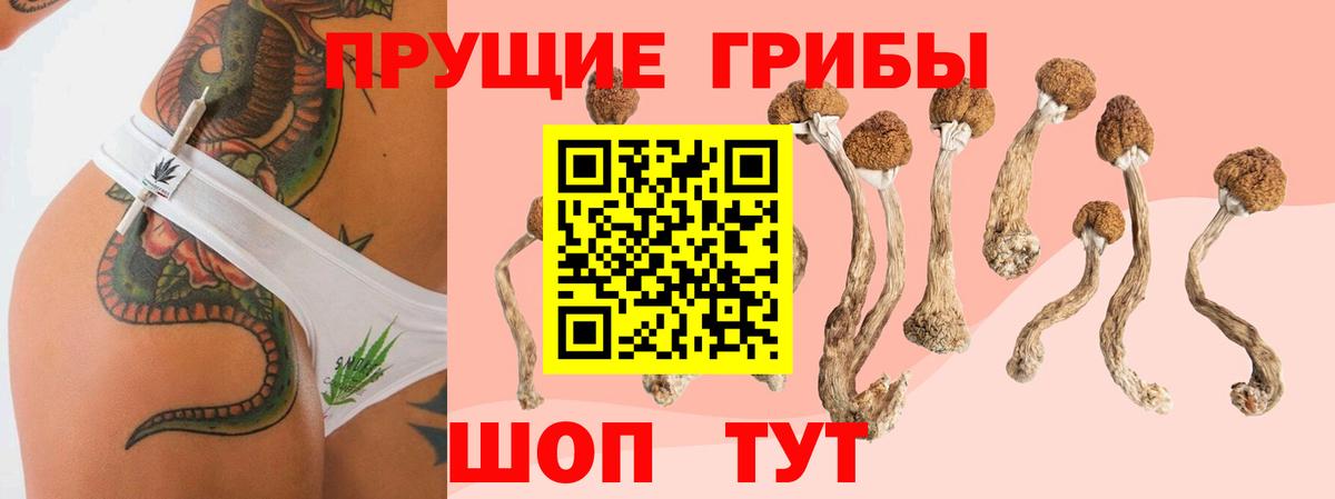 закладки  Псилоцибиновые грибы Magic Shrooms  Елабуга  Вход с VPN  Галлюциногенные грибы мицелий 